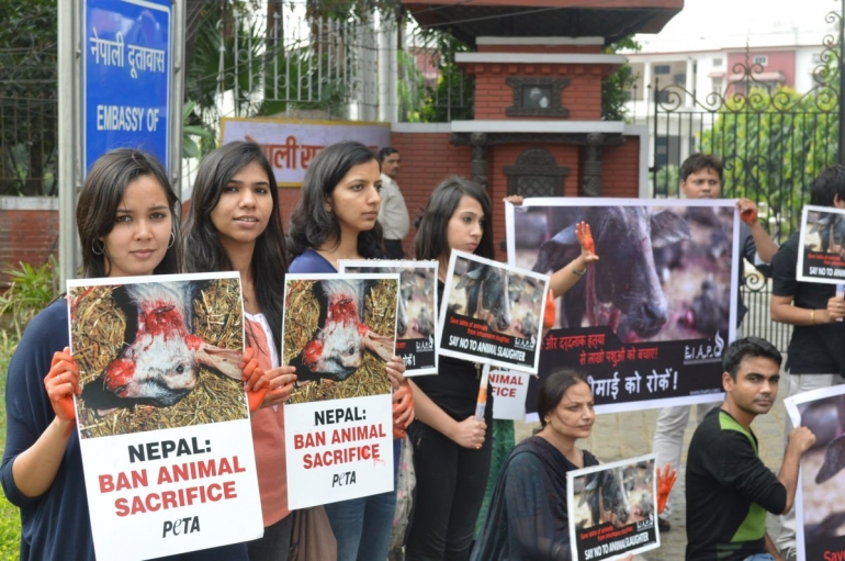 Gadhimai PETA India Demo