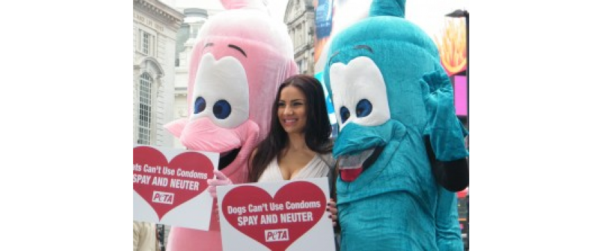 Lacey Banghard Too Much Sex Can Be Deadly 