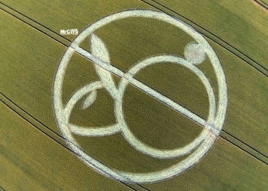 Spotted in Wiltshire: Crop Circle Reminds World That No Bunny Should Suffer for Beauty
