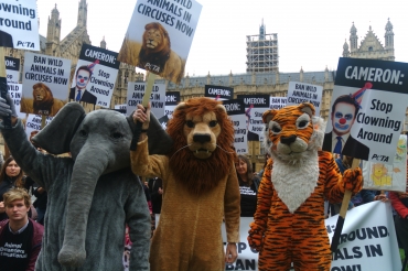 Today Is the Day: No More Wild Animals Will Be Exploited in Circuses in ...