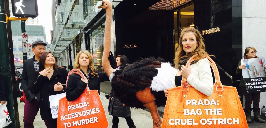 Topless Dead Ostrich Protest Outside London Hermès