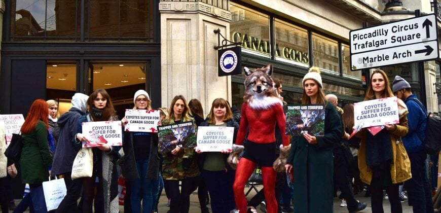 THIS Is Where Your Fur Comes From Activists Protest Outside