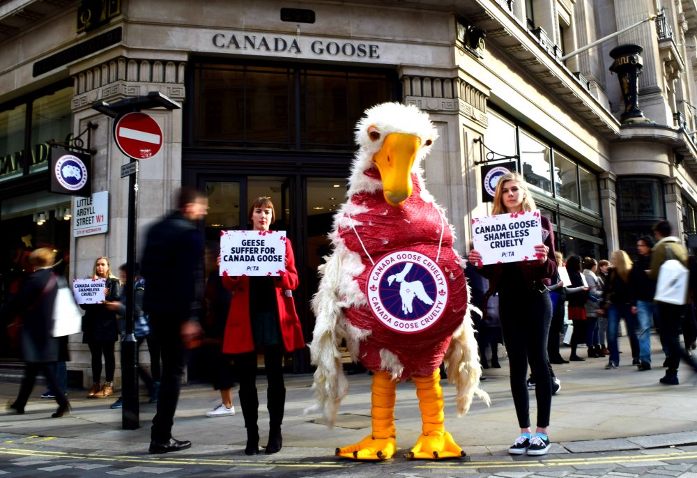 PETA 'Goose' Protests Opening of Flagship Canada Goose Store on London