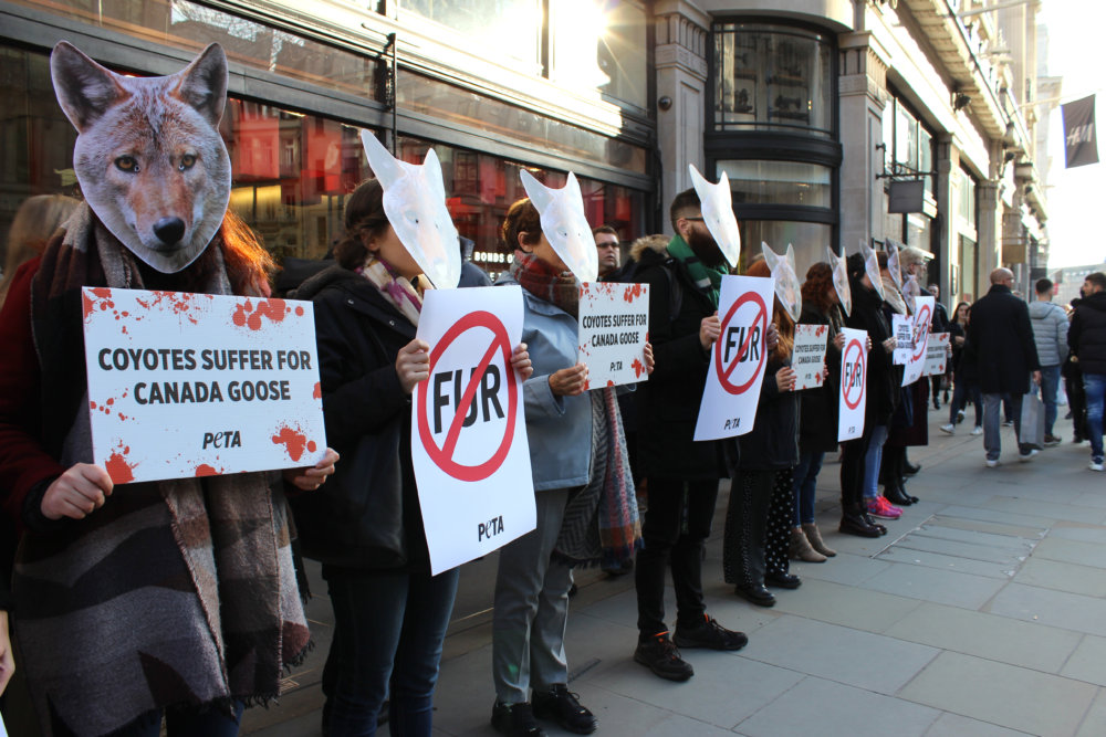 Fur-Free Friday: PETA Supporters Descend on Canada Goose and House of ...