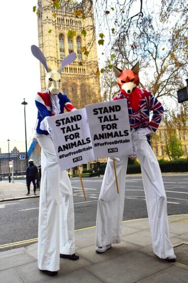 Protesters on Stilts 'Stand Tall for Animals' This Fur-Free Friday