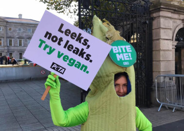 Giant PETA ‘Leek’ Proclaims, ‘Leeks, Not Leaks. Try Vegan’
