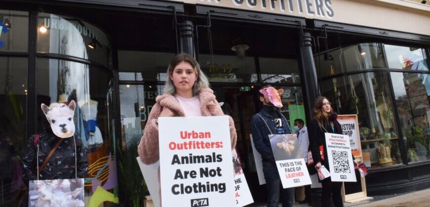 Why Did PETA Supporters Protest at Cambridge’s New Urban Outfitters Store?