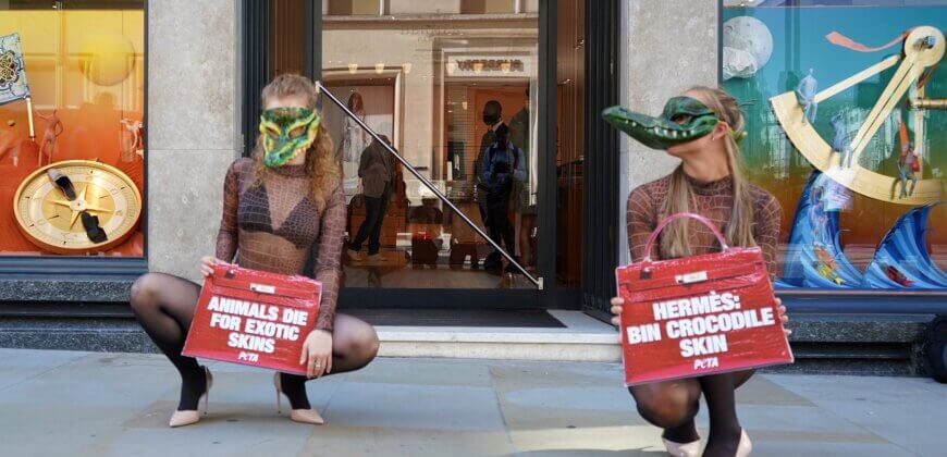 London, England, UK. 28th May, 2022. A protester holds an inflatable  crocodile outside Hermes. Animal rights activists gathered outside the  Hermes store in Bond Street in protest against the use of crocodile