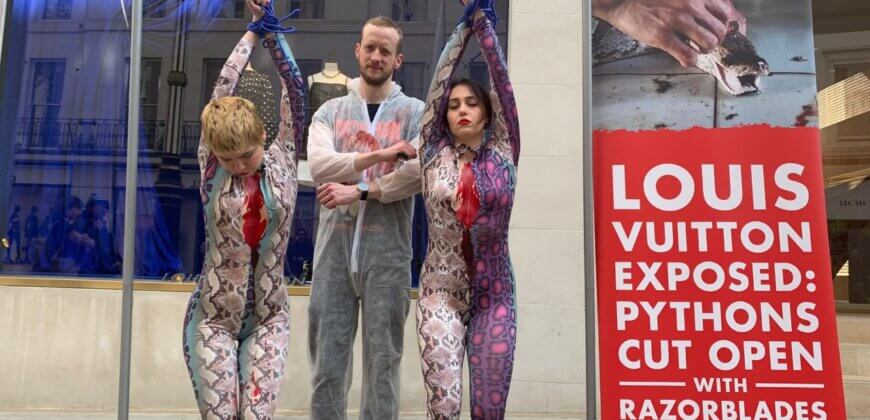 London, UK. 23rd March 2022. PETA activists wearing snake costumes