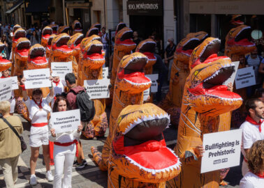 6 Things to Do Instead of Attending the Running of the Bulls in Pamplona