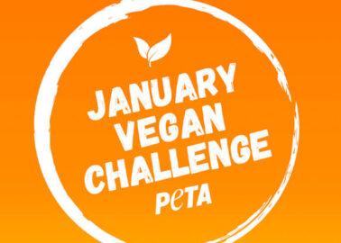 Take PETA’s January Vegan Challenge