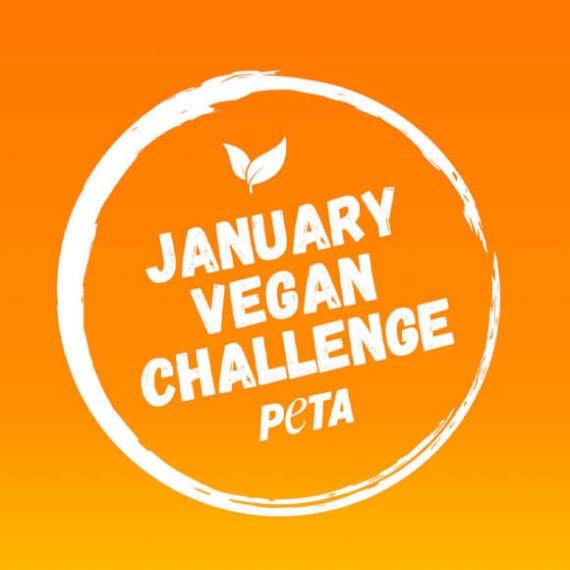 Take PETA’s January Vegan Challenge