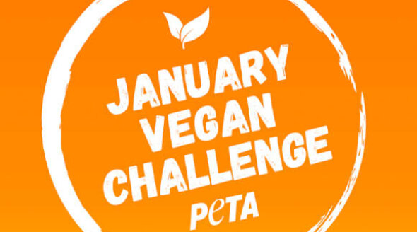 Take PETA’s January Vegan Challenge