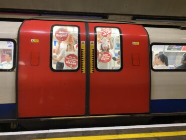 ‘Cows’ On The Tube? Herd Of Animal Allies Demand That Rishi End Live ...