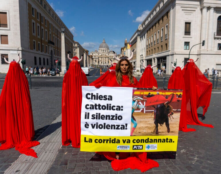 PETA Urges the Pope to Cut the Catholic Church’s Shameful Ties With ...