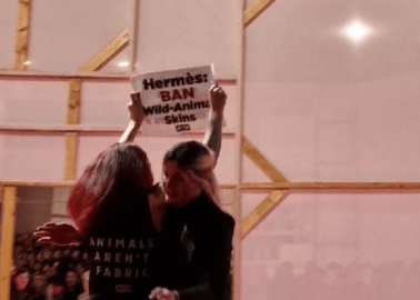 Activists Take Over Hermès Runway