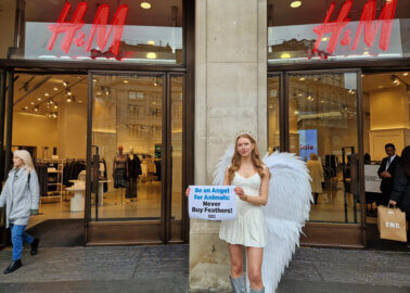 We Did It! H&M Bans New Down Feathers Following PETA Campaign