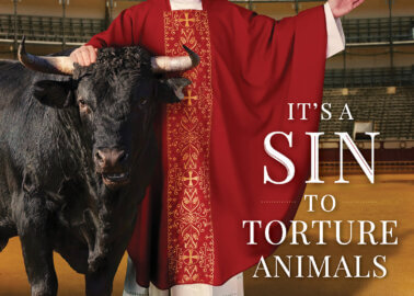 PETA Urges the Pope to Cut the Catholic Church’s Shameful Ties With Bullfighting