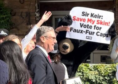 ‘Bear’ Confronts Keir Starmer on Election Day