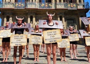 Dozens in Medieval Torture Devices Protest Against Pamplona’s Bullfights