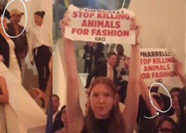 Animals Aren’t Fabric: PETA Disrupts Pharrell Williams’ Party