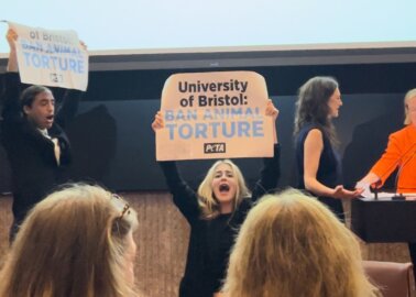 PETA’s Protesters Urge University of Bristol to Ban Near-Drowning Test