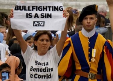 PETA Urges the Pope to Cut the Catholic Church’s Shameful Ties With Bullfighting