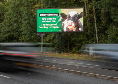 MOOve On, Dairy Farmers! PETA’s Billboard Shakes Up UK Dairy Day