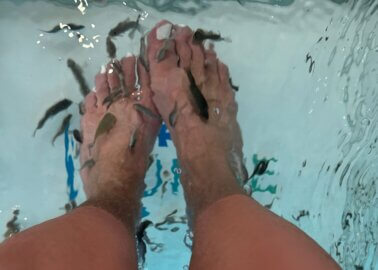 Why You Should Never Get a Fish Pedicure