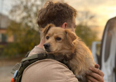 Animal Rescue: 1,000 Days of War in Ukraine