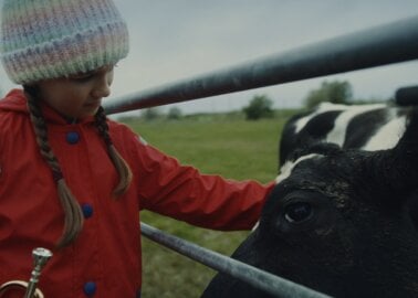 See the Individual Behind the Beef Wellington: PETA’s Christmas Ad Encourages Goodwill to ALL