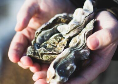 Are Oysters Vegan?