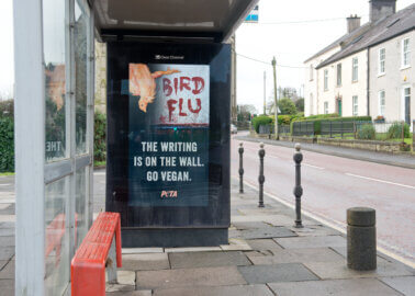 Bird Flu: The Next Pandemic