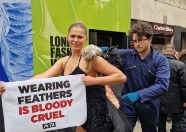 Why PETA Protested Feathers at London Fashion Week