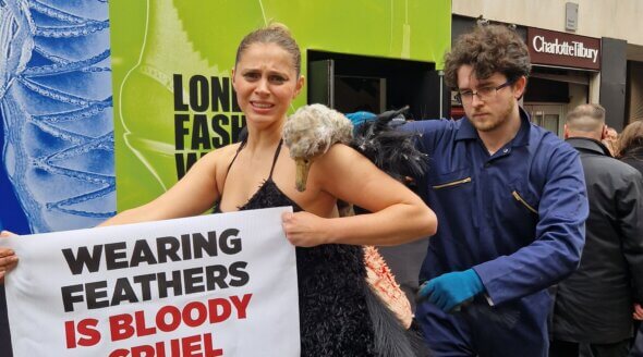 Why PETA Protested Feathers at London Fashion Week