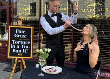 PETA Protest Winchester Wine Bar Selling Foie Gras